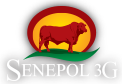 Senepol 3G weekend